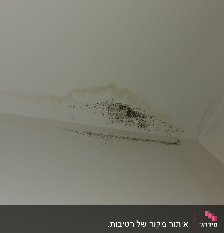 כתם רטיבות ועובש על תקרה לבנה